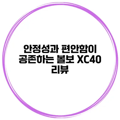 안정성과 편안함이 공존하는 볼보 XC40 리뷰
