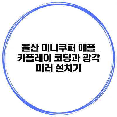 울산 미니쿠퍼 애플 카플레이 코딩과 광각 미러 설치기