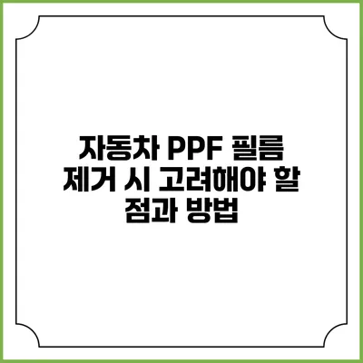 자동차 PPF 필름 제거 시 고려해야 할 점과 방법