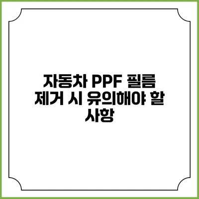 자동차 PPF 필름 제거 시 유의해야 할 사항