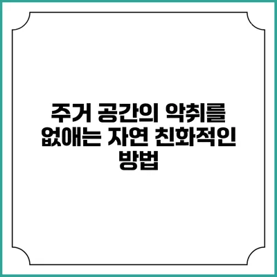 주거 공간의 악취를 없애는 자연 친화적인 방법