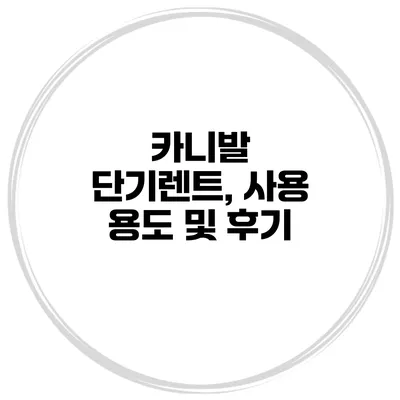 카니발 단기렌트, 사용 용도 및 후기