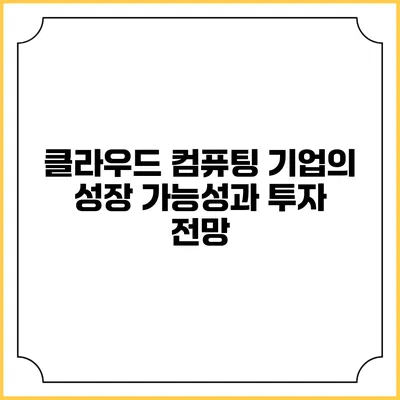 클라우드 컴퓨팅 기업의 성장 가능성과 투자 전망