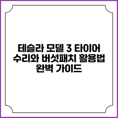 테슬라 모델 3 타이어 수리와 버섯패치 활용법 완벽 가이드