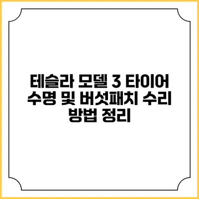테슬라 모델 3 타이어 수명 및 버섯패치 수리 방법 정리