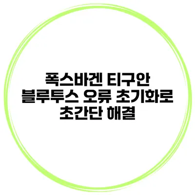 폭스바겐 티구안 블루투스 오류? 초기화로 초간단 해결