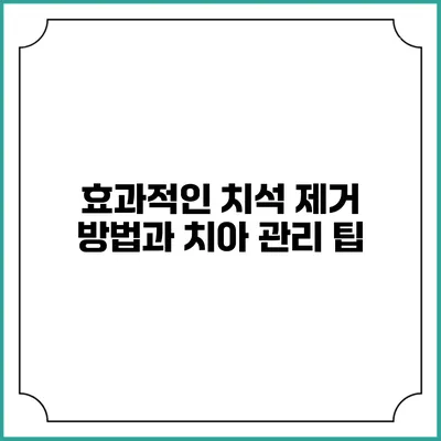 효과적인 치석 제거 방법과 치아 관리 팁
